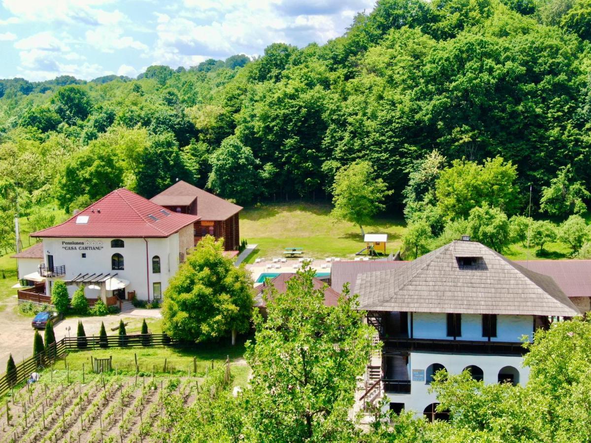 Hotel Casa Cartianu Târgu Jiu Zewnętrze zdjęcie