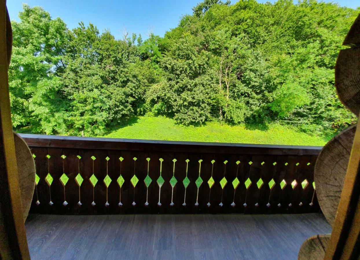 Hotel Casa Cartianu Târgu Jiu Zewnętrze zdjęcie